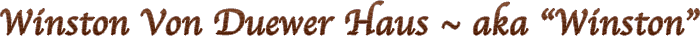 Quido title